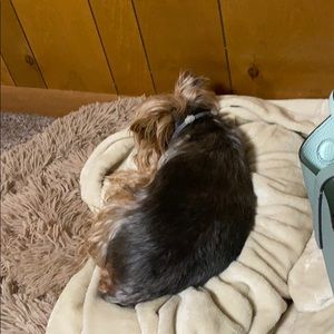 Meet your Posher, Rebecca